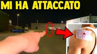 AVVISTAMENTO di SERBIAN DANCING LADY IN ITALIA nel 2024 *Mi ha aggredito*