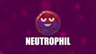 Supercytes - How to say 'Neutrophil'