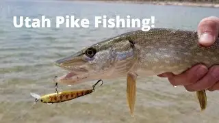 Utah Pike Fishing - Pike Fishing Southern Utah 2021