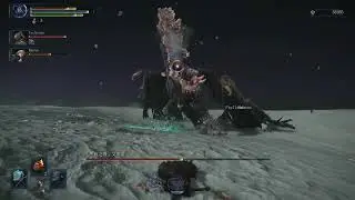 Elden Ring Nightreign -- Gaping Jaw  Adel Baron of Night boss fight 01012026