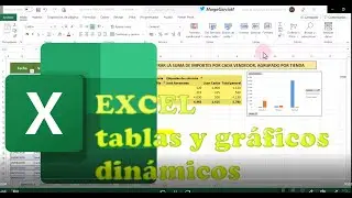 EXCEL Tablas y gráficos dinámicos