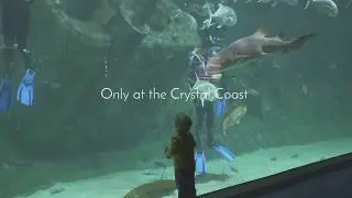 North Carolina Aquarium at Pine Knoll Shores
