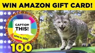 WIN Amazon Gift Card - Caption This & Spin to Win: Cat on Car # 100