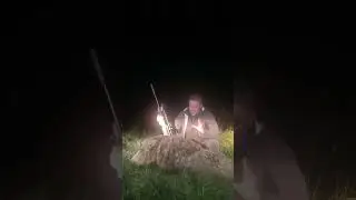 Nachtjagd auf Schwarzkittel am Schilfplan mit der Mauser M12 Max