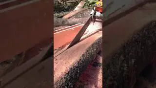 #ChainsawMilling #treecut #lumberjack #MakingLumber  #board #chainsawskills #ChainsawWork #wood