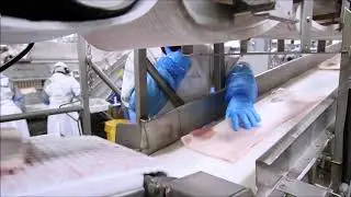 Frontmatec Pork Solutions | Canadian Loin Puller