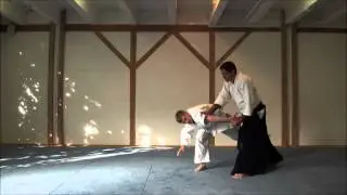 Aikido Schule T&uuml;bingen 2012