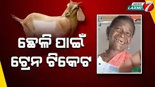 ଛେଳି ପାଇଁ ଟ୍ରେନ ଟିକେଟ କିଣିଲେ, women brought train ticket for her goat #viral #breaking #newslaxmi7