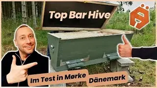 Im Test: Top Bar Hive von 