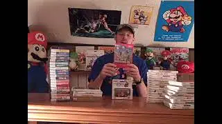 My updated Wii/DS game collection!