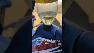 прикольное видео
