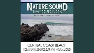 Ocean's Mystique