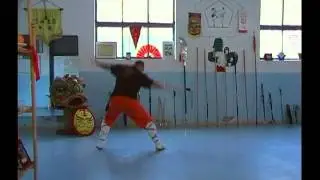 Bei Shaolin Quan - Cirie