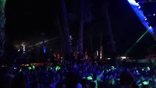 papaya zrce beach summer 2017