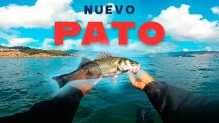 MUCHÍSIMAS LUBINAS🐟 estrenando el nuevo PATO 🦆en GALICIA