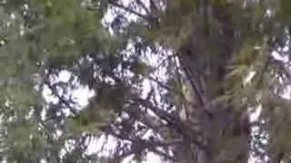 Up she goes