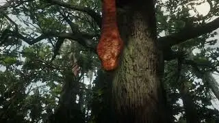 Large Boa Constrictor near Pleasance #reddeadredemption2 #boaconstrictor 
