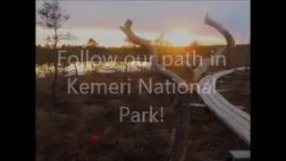 Kemeri National Park in Latvia