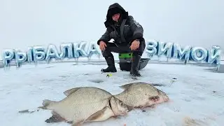Ловля Леща Зимой на Водохранилище! Закормил и он пришёл.    Рыбалка со льда!!!