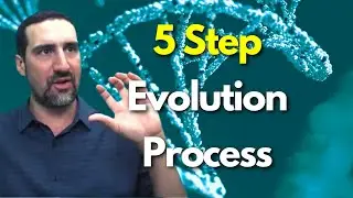The 5-Step Evolution Process