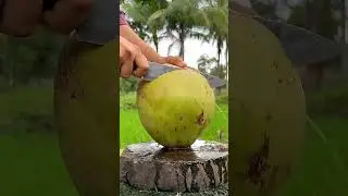 coconut 🥥 cutting skills with knife 🔪#trendingshorts #creativecontentcreator #digitalcreator