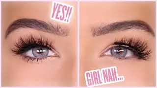 HOW TO APPLY FALSE LASHES EASILY | Amanda Ensing