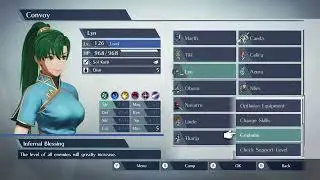 Fire Emblem Warriors - Team Waifu