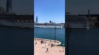 Sydney city and Harbour bridge from Opera house #shorts