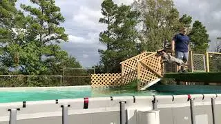Dock Diving (Slow Motion)