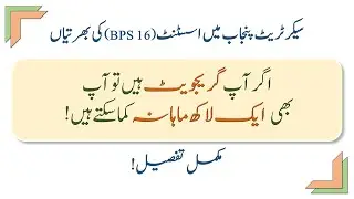 Assistant s&gad | Government jobs 2024| Ppsc jobs 2024