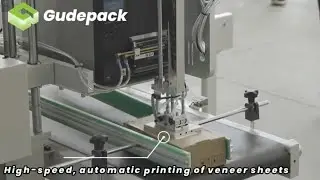 Print And Apply Label Machine / Printing And Labeling Machine