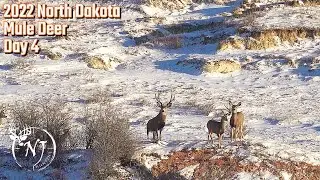 2022 North Dakota Mule Deer (Day 4 