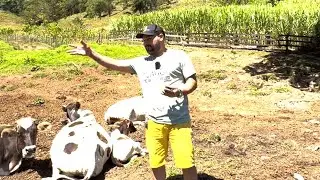 LA FONDA BELÉN GUALCHO OCOTEPEQUE 🇭🇳