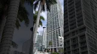 ميامي  فلوريدا Miami Florida#shema_in_usa #downtown #travel #الحياة_في_أمريكا #shorts