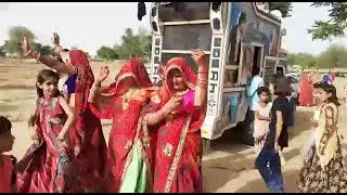 Rajasthani Traditional #Wedding Dance #shekhawati #Desi local folk #Sikar live#India