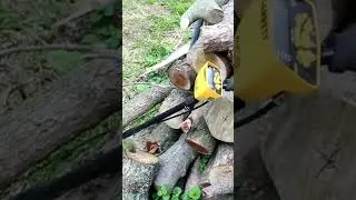 Garrett ACE 300: Best Metal Detector for Beginners? #shorts