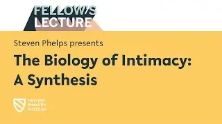The Biology of Intimacy: A Synthesis | Steven Phelps || Harvard Radcliffe Institute