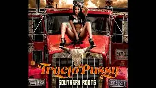 SOUTHERN ROOTS - GINGER JOE