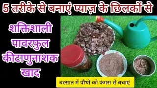 🟢 Make 5 types of powerful fertilizer from Onion peels / Onion peels fertilizer and use in garding 🌿