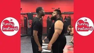 Splack New Videos 2019 | Splack Vine Compilation (W/Titles) - Funny InstaVID