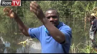 Mwaraho wa maai guthukangia irio migunda-ini mwena wa Kibichoi
