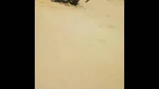 best tractor stunt