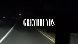 Adult Friends - Greyhounds (Official Video)