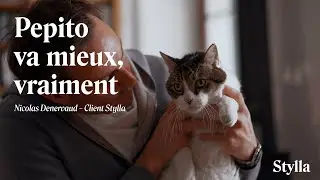 Il perdait en mobilité… jusqu’à Stylla | Témoignage de Nicolas sur son chat Pepito
