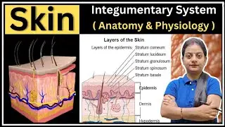 Skin Anatomy & Physiology in Hindi | Layers, Functions, Types of skin  | Nursing GNM BSc Lecture
