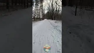 2025 North Country Trail HIKE 100, Part 2 (Miles 6-10) | Short 8 | #shorts #nct #ncthike100