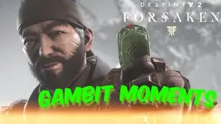 Destiny 2 Gambit Moments #1 - Road To Legend