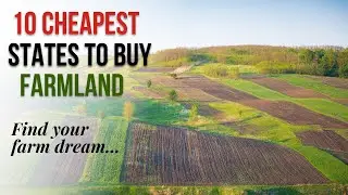 10 самых дешевых штатов в Америке для покупки сельскохозяйственных земель