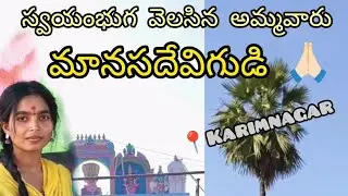 Swayambuga velasina devatha #Manasadevi ❣️#trending # near karimnagar# comment if you know 