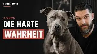 Die Schockierende Wahrheit Über Kampfhunde – Mythen, Fakten & Was Wirklich Dahinter Steckt